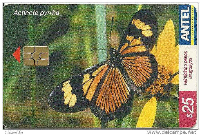 URUGUAY TELECARTE PHONECAR CHIP CARTE A PUCE ANTEL PAPILLON BUTTERFLY MARIPOSA ACTINOTE PYRRHA - Uruguay