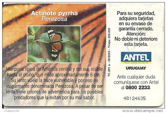 URUGUAY TELECARTE PHONECAR CHIP CARTE A PUCE ANTEL PAPILLON BUTTERFLY MARIPOSA ACTINOTE PYRRHA - Uruguay