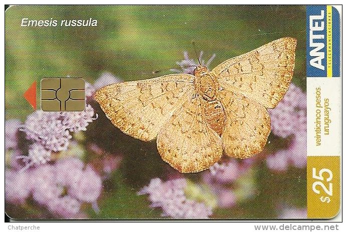 URUGUAY TELECARTE PHONECAR CHIP CARTE A PUCE ANTEL PAPILLON BUTTERFLY MARIPOSA EMESIS RUSSULA - Uruguay