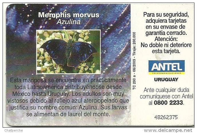 URUGUAY TELECARTE PHONECAR CHIP CARTE A PUCE ANTEL PAPILLON BUTTERFLY MARIPOSA MEMPHIS MORVUS - Uruguay
