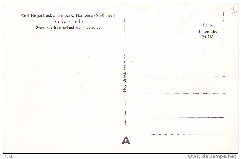 Ax - Cpa Gruss Aus Der Dressurschule - Carl Hagenbeck's Tierpark, Hamburg - Stellingen (dressage D'animaux) - Stellingen