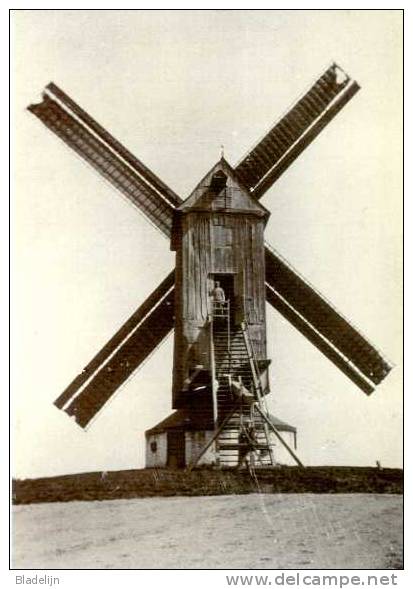 SINT-DENIJS-BOEKEL Bij Zwalm (O.Vl.) - Molen/moulin/mill - De Verdwenen Franskoutermolen Omstreeks 1930 - Zwalm