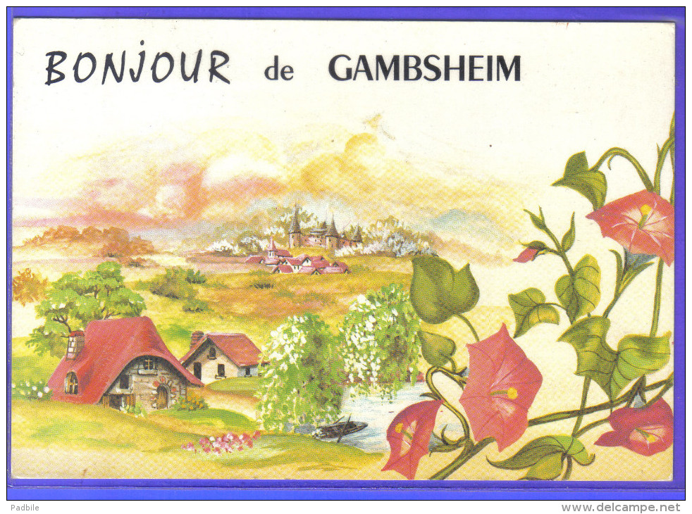 Carte Postale 67. Gambsheim   Trés Beau Plan - Gambsheim