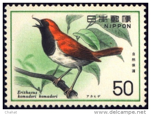 BIRDS-NATURE CONSERVATION-RYUKYU ROBIN-JAPAN-1976-MNH-B6-800 - Pics & Grimpeurs