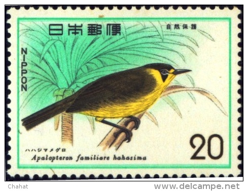 BIRDS-NATURE CONSERVATION-BONIN WHITE EYE-JAPAN-1975-MNH-B6-800 - Spechten En Klimvogels