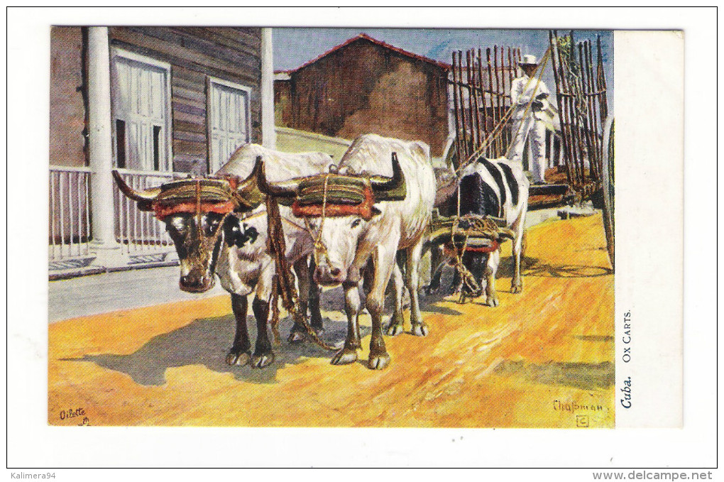 CUBA  /  OX  CARTS  ( Charrette à Boeufs , Attelage Agricole ) /  Edit.  RAPHAEL TUCK & Sons  /  OILETTE , Serie N° 7730 - Cuba