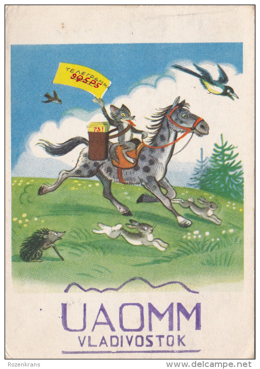 QSL Card Amateur Radio CB Vladivostok 1963 Moscow CCCP USSR Horse Fox Vos Egel Hedgehog - Amateurfunk