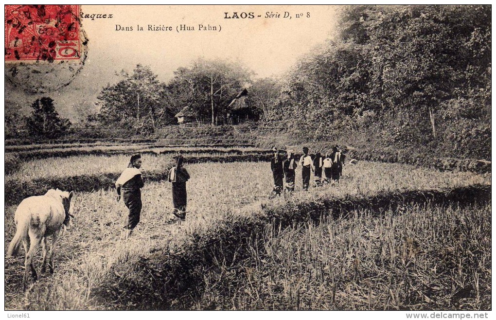 LAOS (ASIE - TONKIN  - Indochine - Viet-Nam - CHINE)  :  Dans La Rivière (HUA PAHN) - Laos