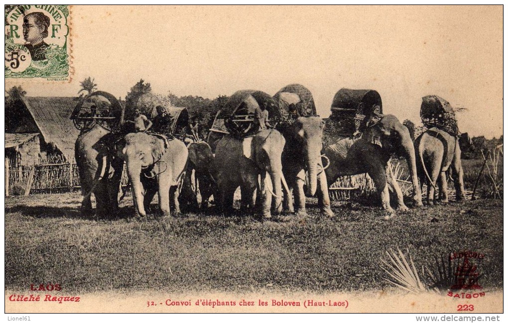 LAOS (ASIE - TONKIN  - Indochine - Viet-Nam - CHINE)  :  Haut-Laos Convoi D'Eléphants Chez Les BOLOVEN - Laos