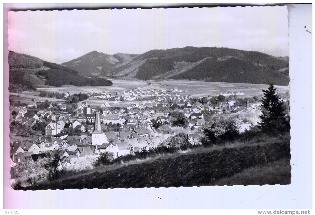 5928 BAD LAASPHE, Stadtpanorama, 1958 - Bad Laasphe