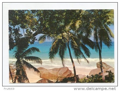 SEYCHELLES - AK 252914 Mahe - Beach View - Seychelles