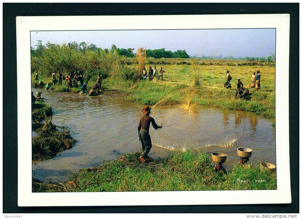 CAMEROON  -  Traditional Fishing  Unused Postcard As Scan - Cameroon