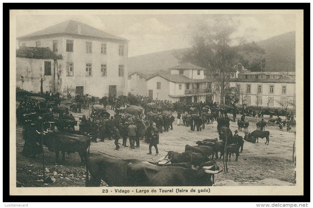 VIDAGO -FEIRAS E MERCADOS -lLargo Do Toural- Feira De Gado(Ed. Fotog. Alves Nº 23) Carte Postale - Vila Real