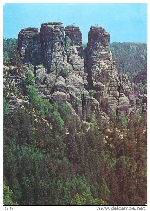 CPM - Sächsische Schweiz - Blick Von Der Basteibrücke Zur Kleinen Gans - Bastei (sächs. Schweiz)