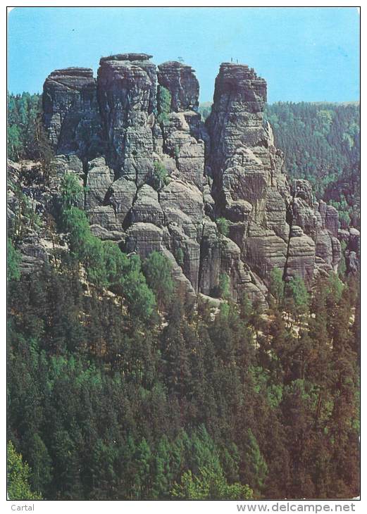 CPM - Sächsische Schweiz - Blick Von Der Basteibrücke Zur Kleinen Gans - Bastei (sächs. Schweiz)