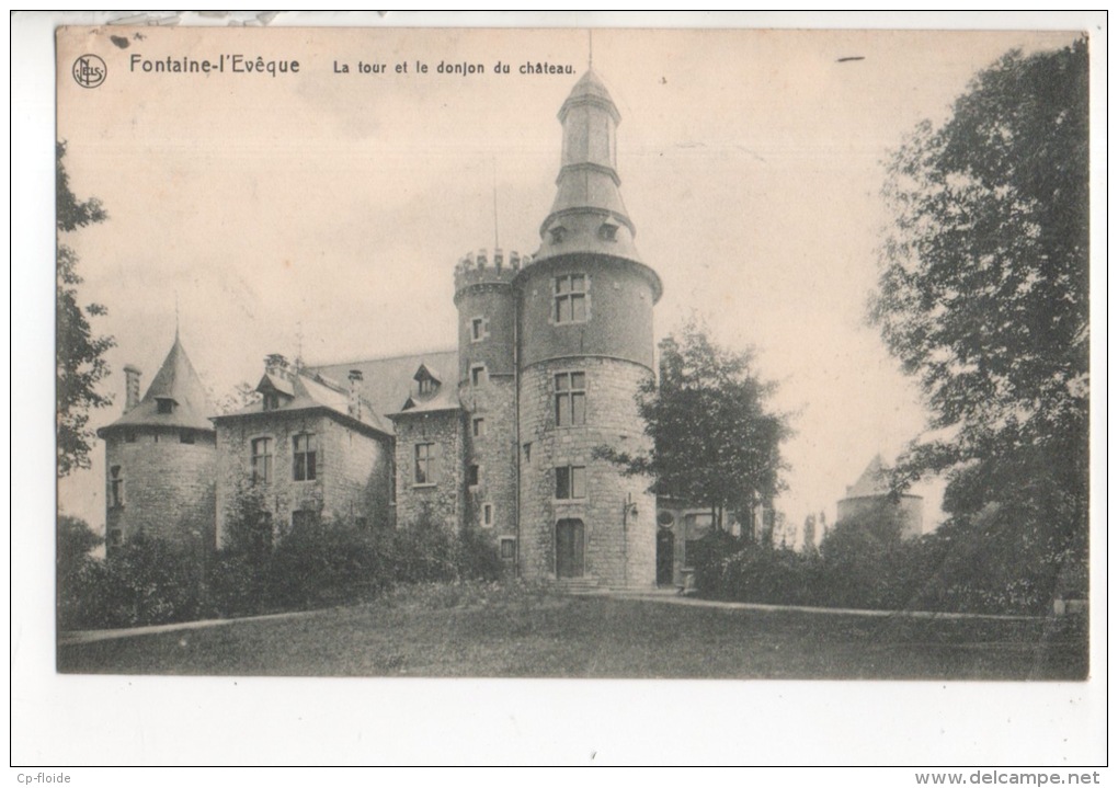 BELGIQUE . BELGIË . FONTAINE-L'EVÊQUE . LA TOUR ET LE DONJON DU CHÂTEAU - Réf. N°12878 - - Fontaine-l'Evêque