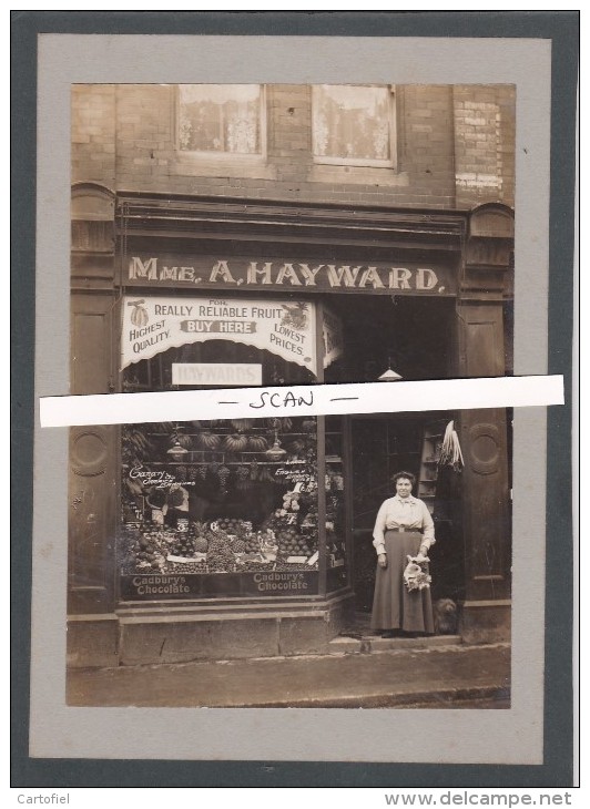 GLASGOW-SHOP-FRUITS-MME.A.HAYWARD-REAL-PHOTO-WILSON-BROTHERS-PHOTOGRAPHERS-TOP-OBJECT-PIECE UNIQUE-LOOK AT 2 SCANS ! ! - Lanarkshire / Glasgow