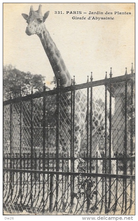 Paris - Jardin Des Plantes - Girafe D'Abyssinie - Edition L. Moreau - Carte Non Circulée - Giraffen