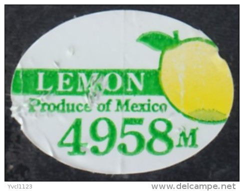 Fruits & Vegetables - Lemon, Produce Of Mexico (FL4958) - Fruits & Vegetables