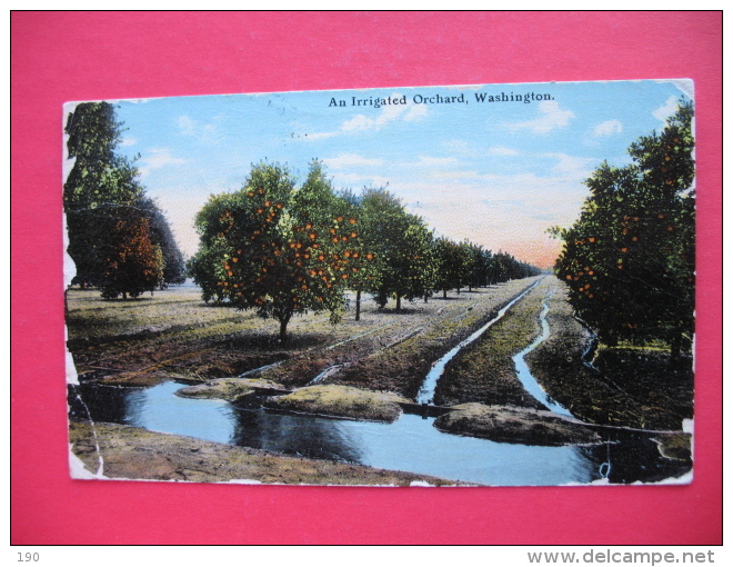An Irrigated Orchard,Washington - Tacoma