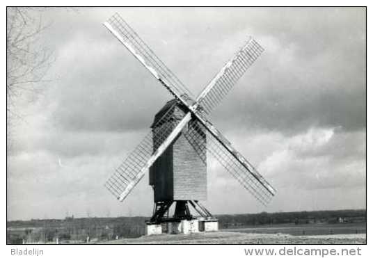 TIELT (West-Vlaanderen) - Molen/moulin - Historische Opname V.d. Poelbergmolen Vóór De Restauratie Met Speciaal Stempel - Tielt