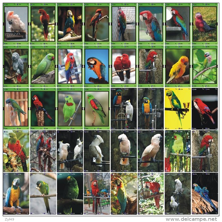 B02185 China Phone Cards Parrot Puzzle 160pcs - Papegaaien & Parkieten