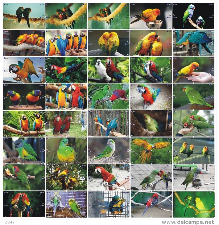 B02186 China Phone Cards Parrot Puzzle 160pcs - Papageien