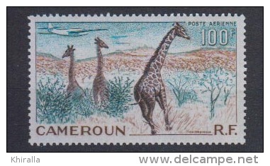 CAMEROUN       1955      PA        N°    47      COTE      7 € 90         ( D 121 ) - Airmail