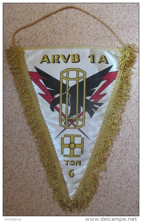 Fanion Armée - ARVB 1A TGN Salissure En Haut à Gauche 17,5x26 - Flags