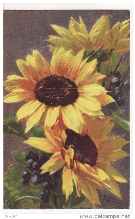 Carte Postale Fantaisie C.KLEIN -Tournesol Ou Rudbeckia  - FLEUR  - Illustrateur - RARE - VOIR 2 SCANS - - Klein, Catharina