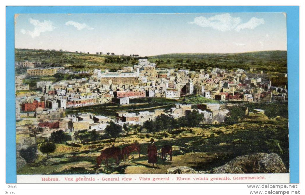 PALESTINE-HEBRON- Beau Plan Vu Des Hauteurs Avec Chèvres Et Chevriers-années 1900-10 - Palestine