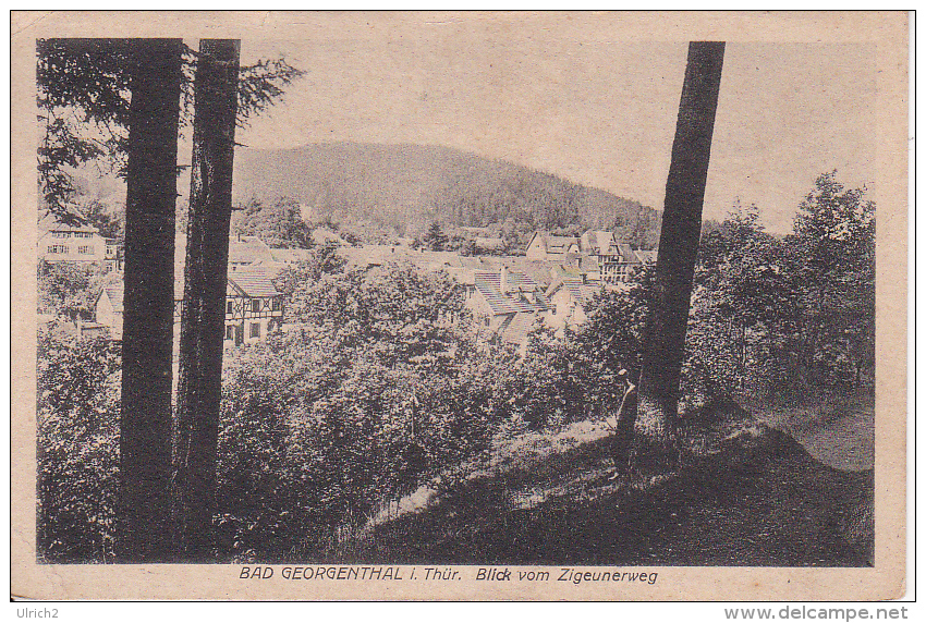 AK Bad Georgenthal I. Thür. - Blick Vom Zigeunerweg - Bahnpost Gotha-Grafenroda - 1915 (20864) - Georgenthal