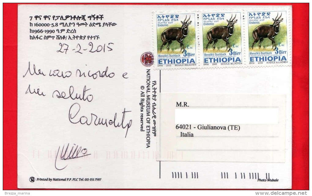 ETIOPIA - Cartolina Viaggiata Nel 2015 - Addis Abeba - Museo Nazionale - Ethiopie