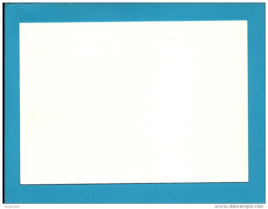 BEJA - 23.05.1982 - 1.&ordf; Mostra De Maximafilia - Postmark Stationery Card - Portugal - 2 Scans - Enteros Postales