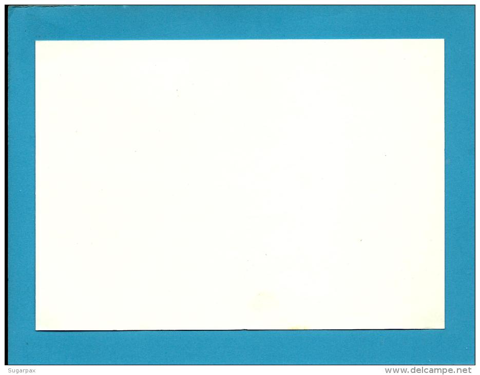 FUNCHAL - 25.05.1982 - Assembleia CEMBUREAU' 82 - Postmark Stationery Card - Portugal - 2 Scans - Postwaardestukken