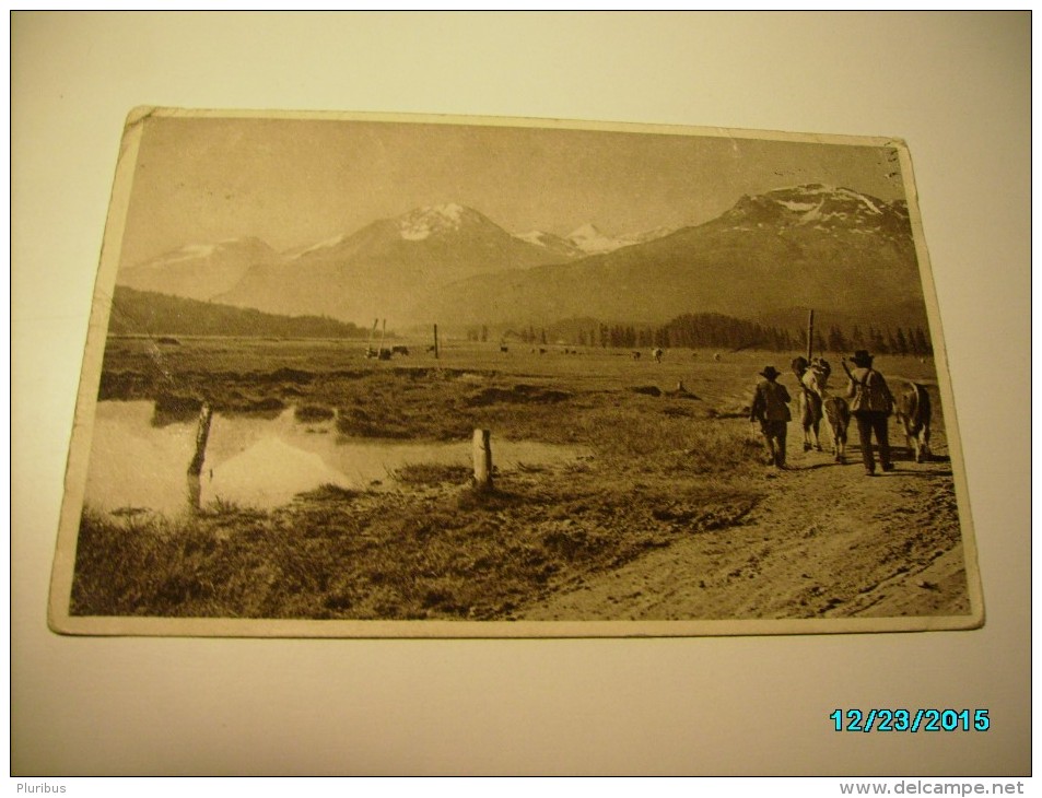 1917 RUSSIA  FINLAND  CENSORED POSTCARD  TO HELSINKI, POSTCARD SWITZERLAND KUHHERDE AUF DER ALM , O - Other & Unclassified