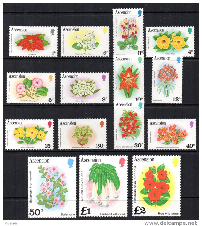 Ascension Island - 1981 - Flowers (No Imprint Date) - MH - Ascension