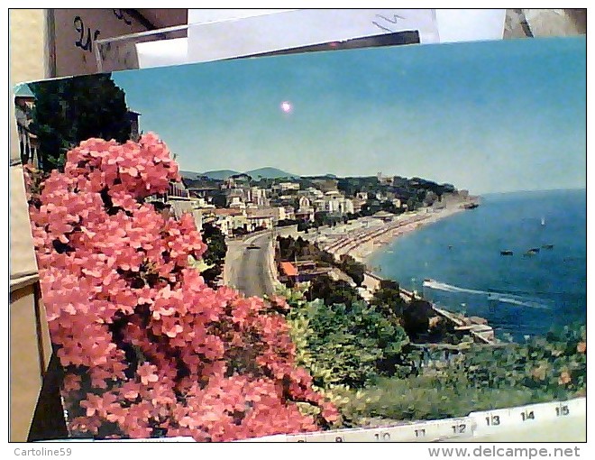 20 card CELLE LIGURE  VEDUTE   VB1962/05  FD7499