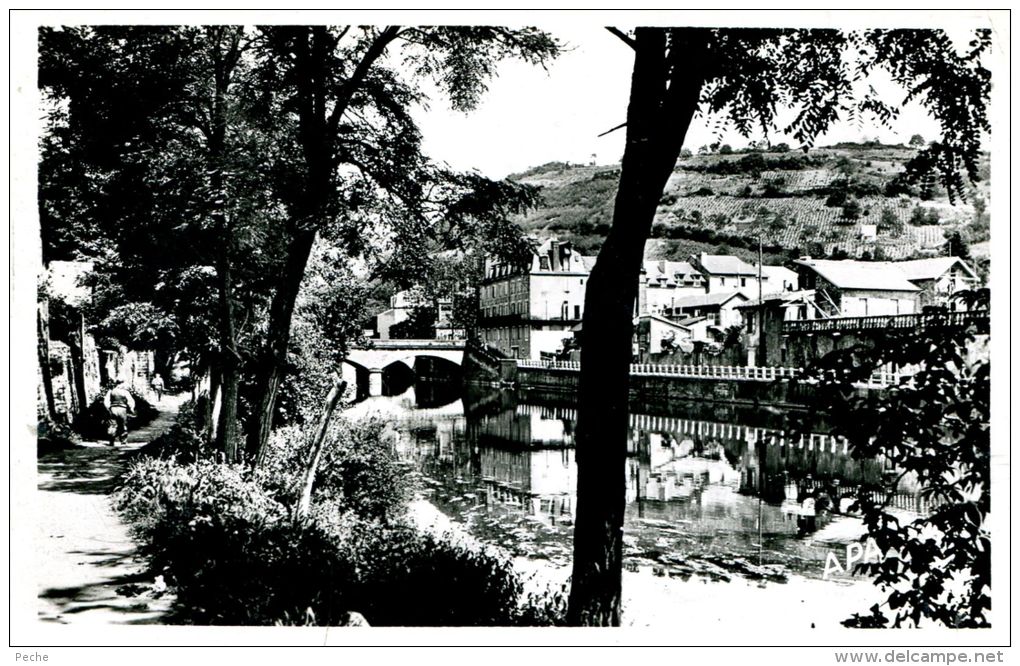 N°46030 -cpa Villefranche De Rouergue -vue De L'Aveyron- - Villefranche De Rouergue