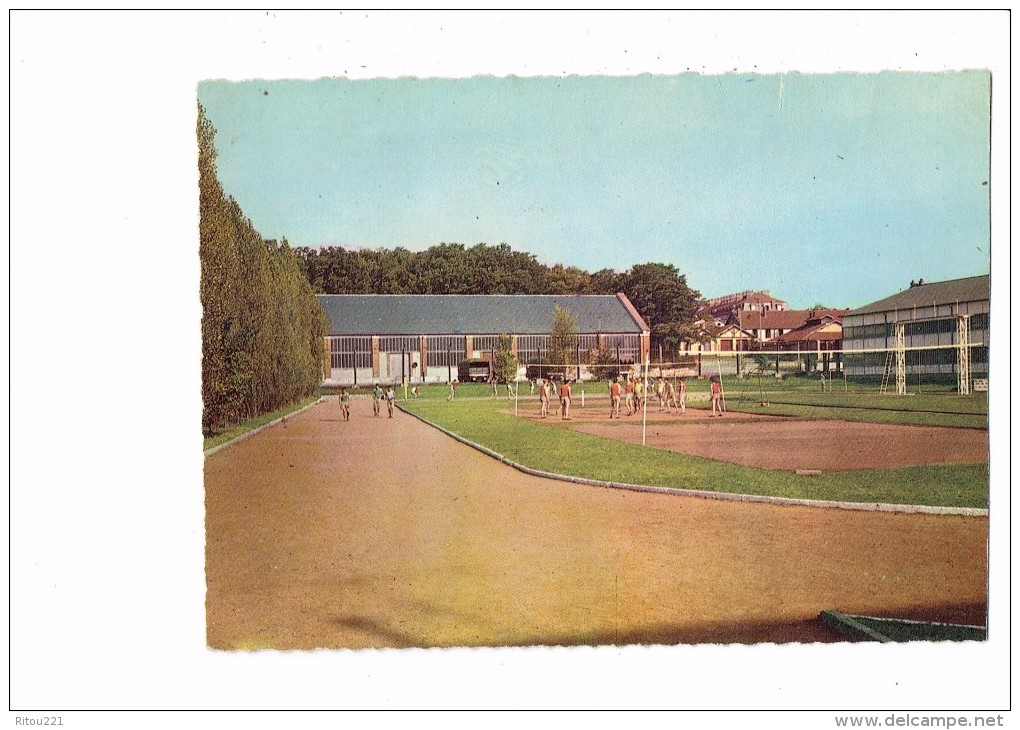 77 - FONTAINEBLEAU - TERRAIN DE SPORTS - STADE Volley-ball - Volleybal