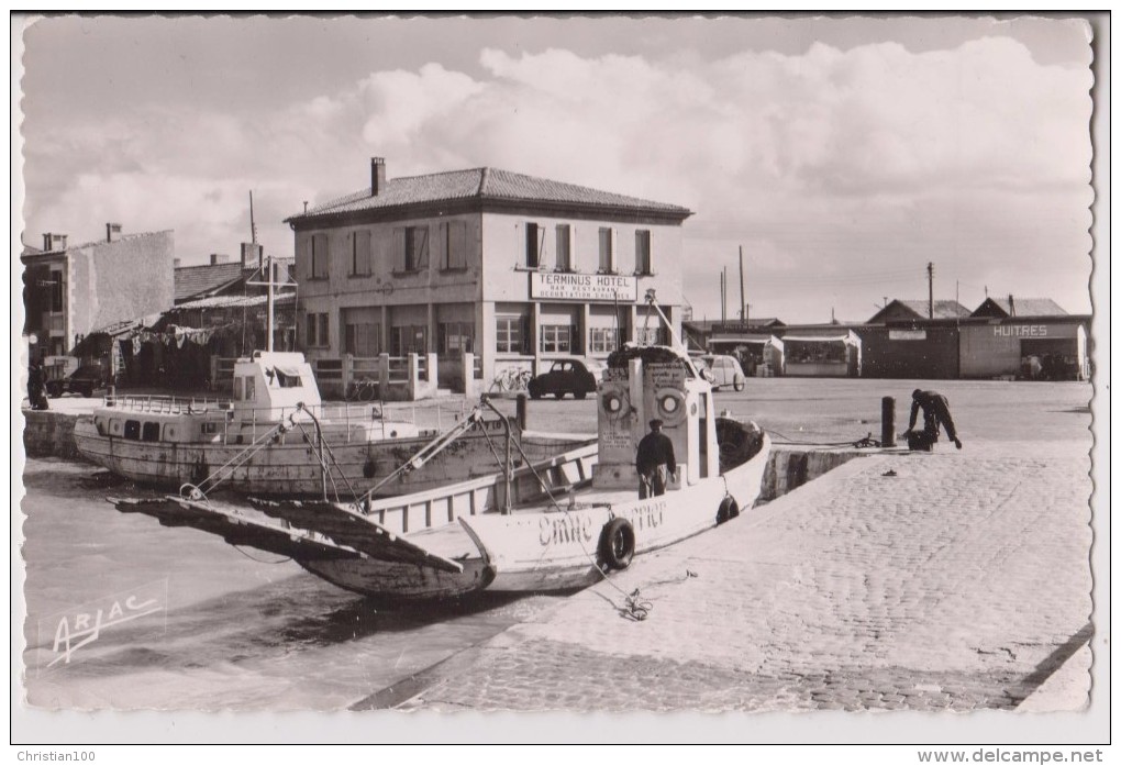 BOURCEFRANC - LE CHAPUS : LA POINTE - HOTEL TERMINUS - HUITRES - 2 SCANS - - Autres & Non Classés