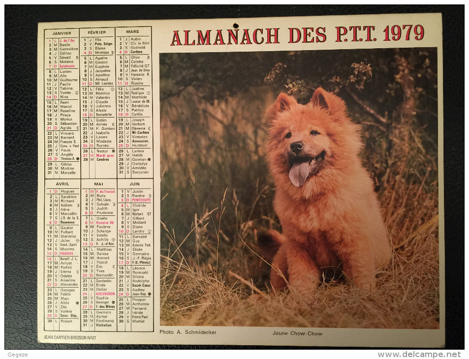 Calendrier Almanach Des PTT 1979 Enfant Et Poney , Jeune Chow-chow Chien Intérieur Paris Cartier-Bresson - Grand Format : 1971-80