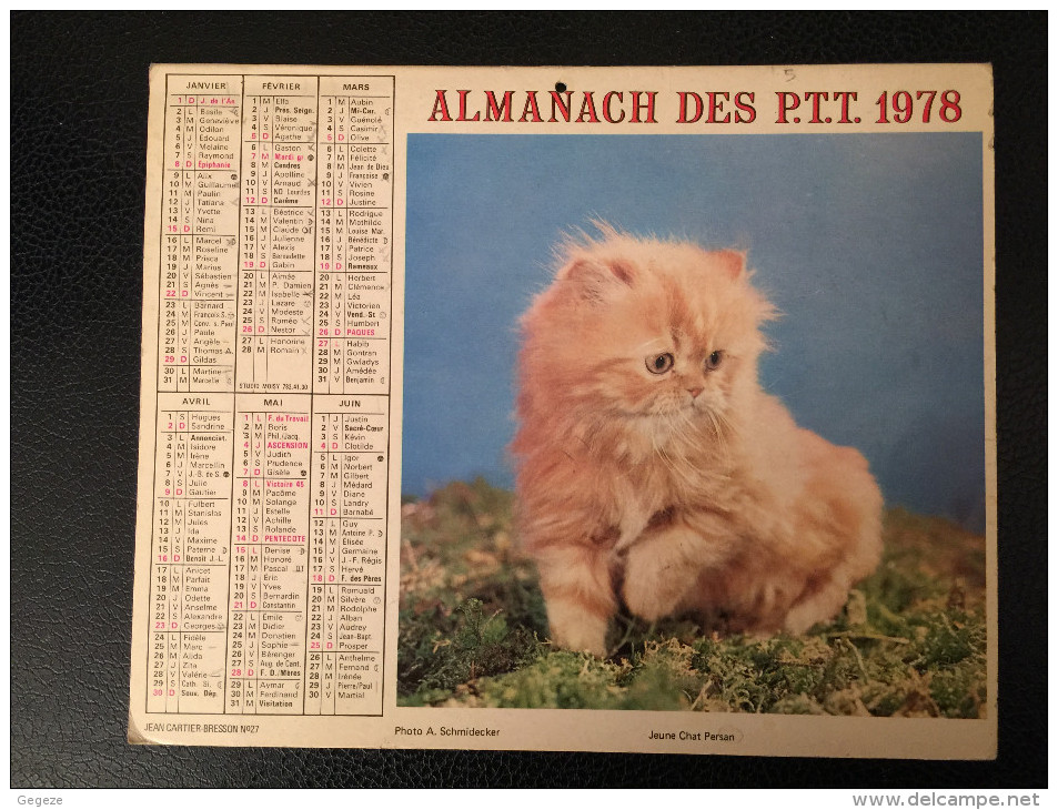 Calendrier Almanach Des PTT 1978 Fillette Et Colley, Jeune Chat Persan Intérieur Paris Cartier-Bresson - Grand Format : 1971-80