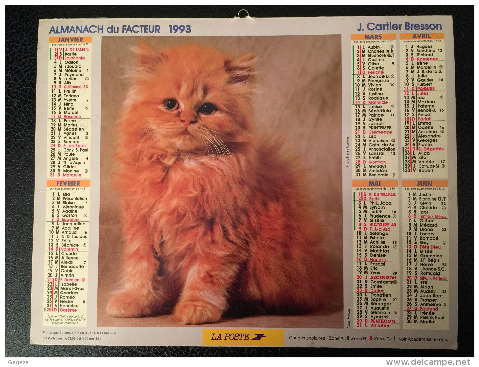 Calendrier Almanach Du Facteur 1993 , Chat Persan Et Chatons Intérieur PARIS Et Région Cartier Bresson - Groot Formaat: 1991-00