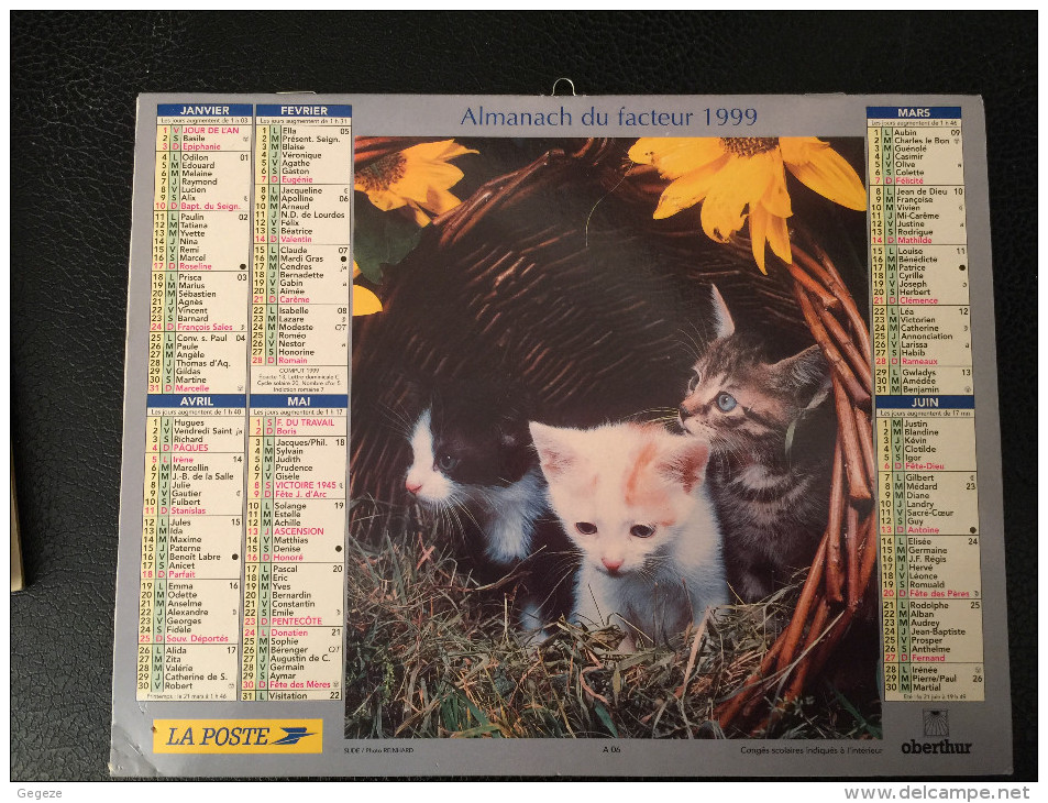 Calendrier Almanach Du Facteur 1999, CHATS Et CHIENS West Highland Terriers  , PARIS - Grand Format : 1991-00