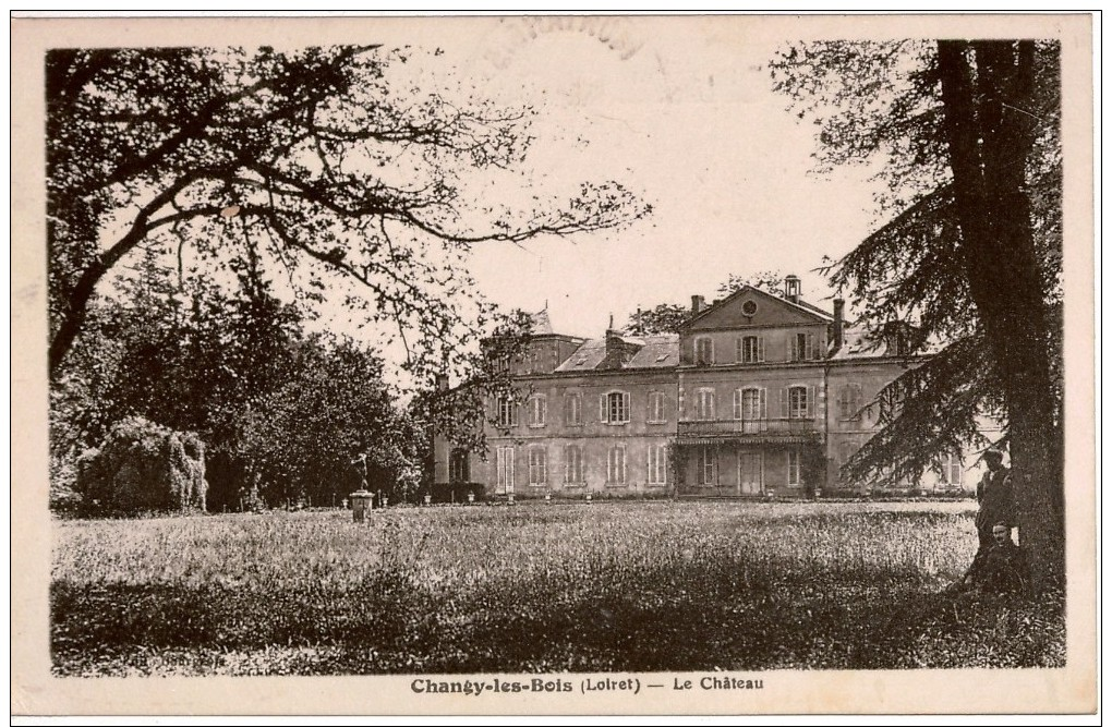 Cpa 45 CHANGY-les-BOIS   Le Château , Animée, Vue Arrière Peu Courante, Carte En Très Bon état , Au Dos Flamme Montargis - Autres & Non Classés