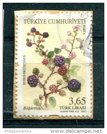 Turquie 2012 -  YT 3586 (o) Sur Fragment - Oblitérés