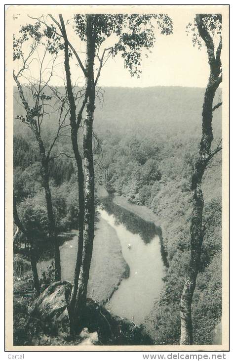 Environs De FLORENVILLE - Point De Vue Du Hât à Chiny - Chiny