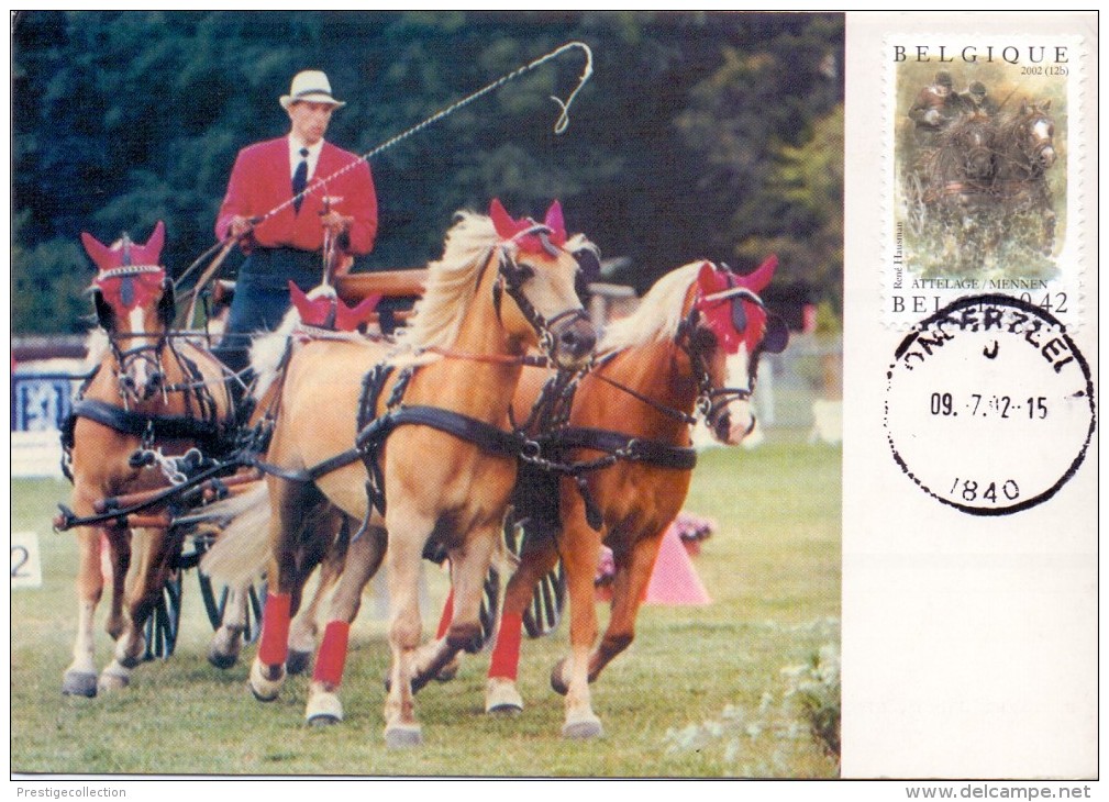 MAXIMUN CARD Belgie 2002.Attelage/Mennen.Jumping..2v.MNH**.Horses.Chevaux.(max0154) - Other & Unclassified