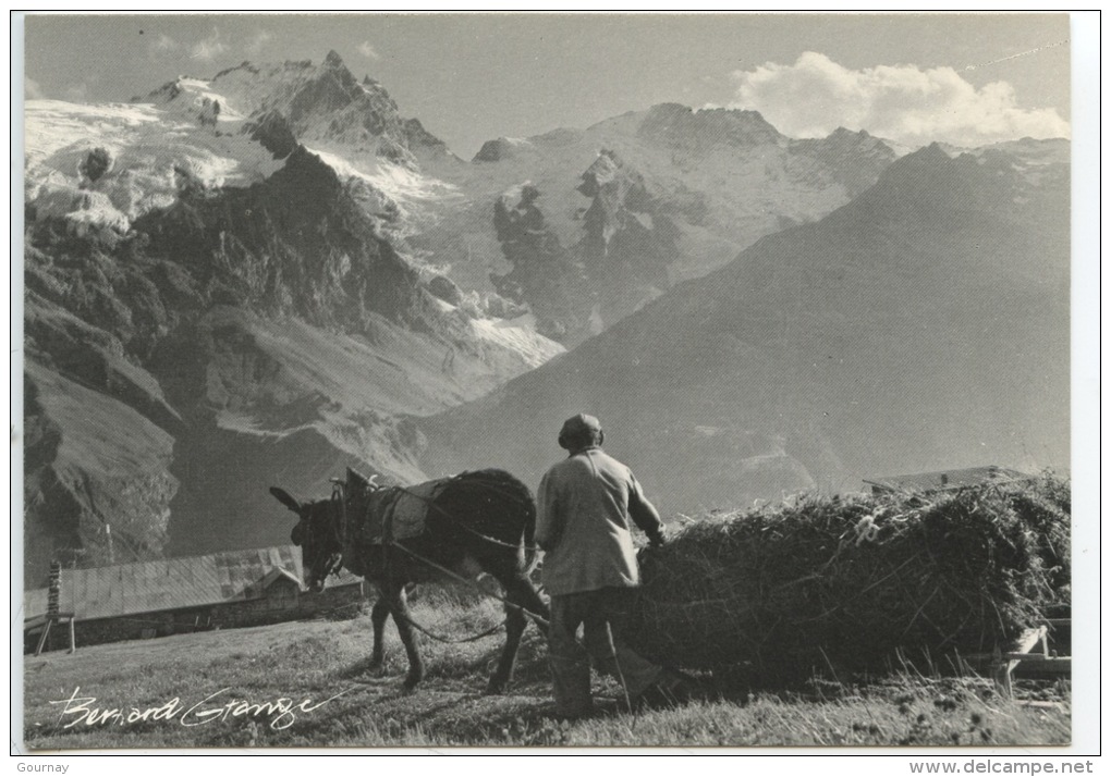 Un Certain Regard Bernard Grangé Photographe N°908 Expo Photo Valloire - Fenaison Homme Traineau Foin Cheval Ane (cp Vie - Paesani